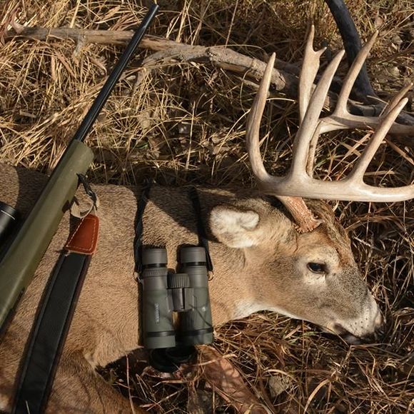 Meet your Posher, Randy - Picture 1 of 1